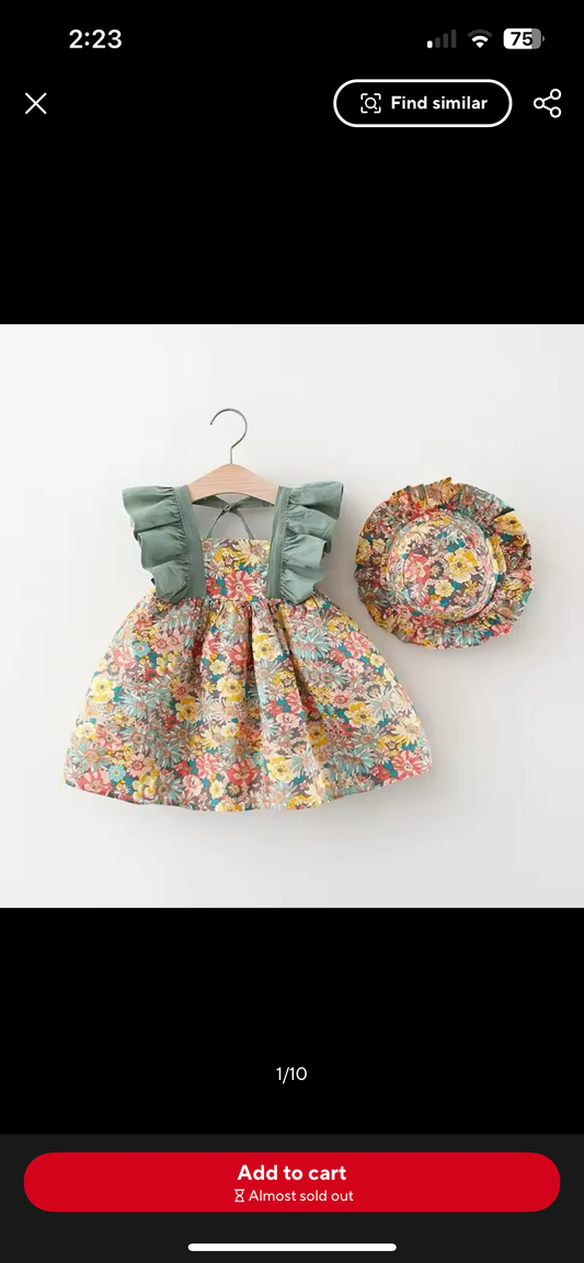 Spring Garden Baby Dress & Hat
